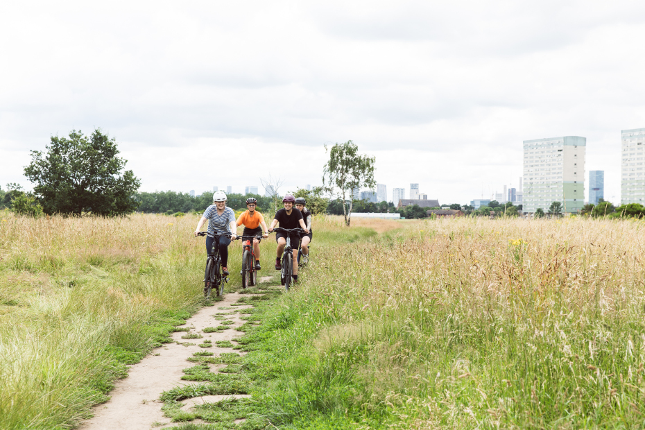 Das passende E-Bike finden