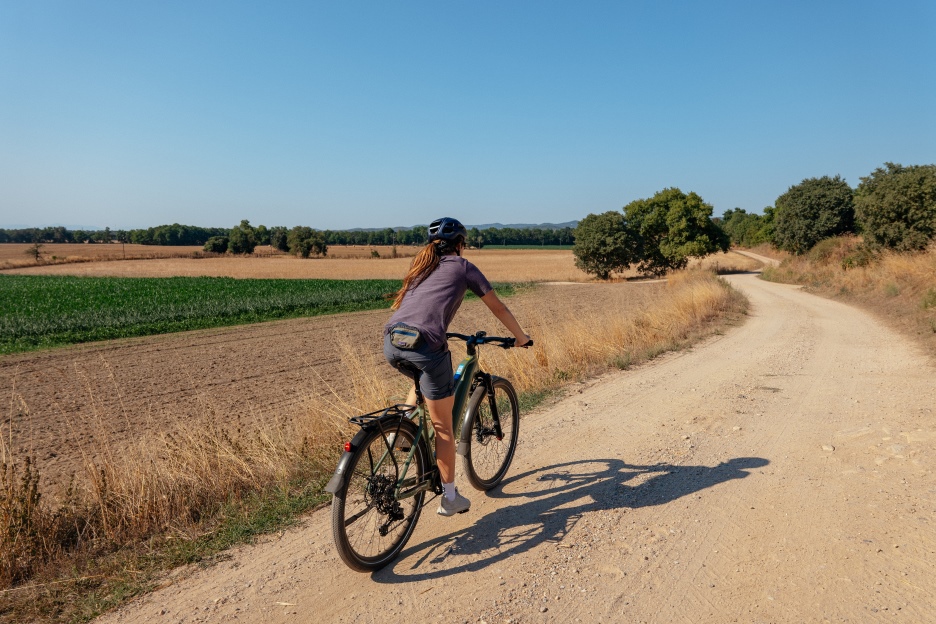 Sechs Tipps fürs Radfahren bei heißem Wetter